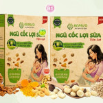 Uống ngũ cốc Anpaso có thực sự tốt cho mẹ bầu và thai nhi